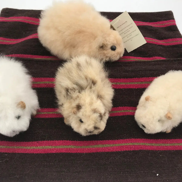 Cuyita Guinea Pig Fur Toy Blossom Inspired