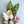 Felt Calathea Leaf Green Global Goods Partners   