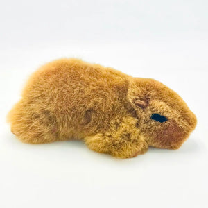 Chunky Capybara Fur Toy Blossom Inspired
