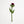 Felt Thistle Global Goods Partners Burgandy