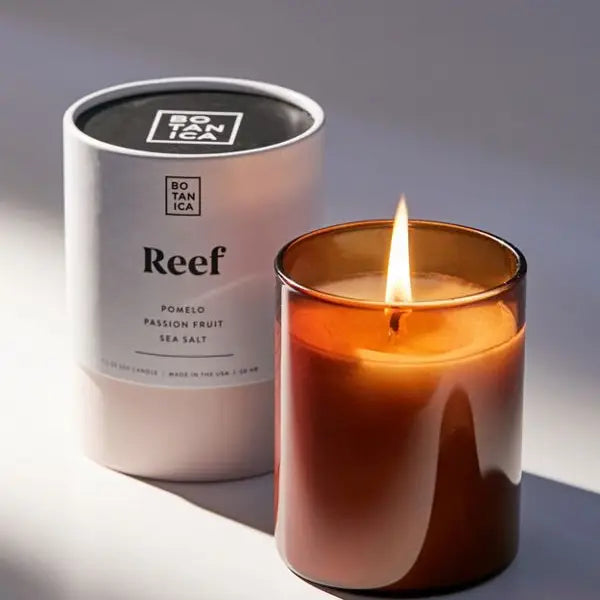 Reef Medium Candle Regular Botanica   