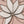 Capiz Lotus Ornament Ten Thousand Villages