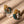 Handwoven Twisted Wire Loop Earrings Mayana