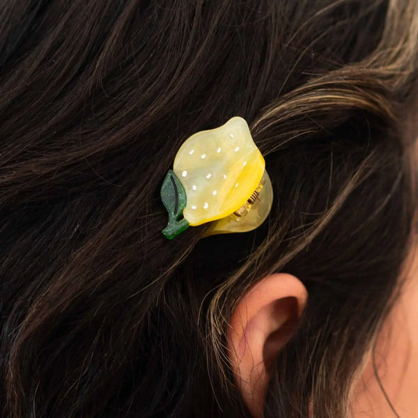 Mini Hair Claw Clip Jenny Lemons