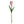 Felt Dutch Tulip Flower Global Goods Partners Blush