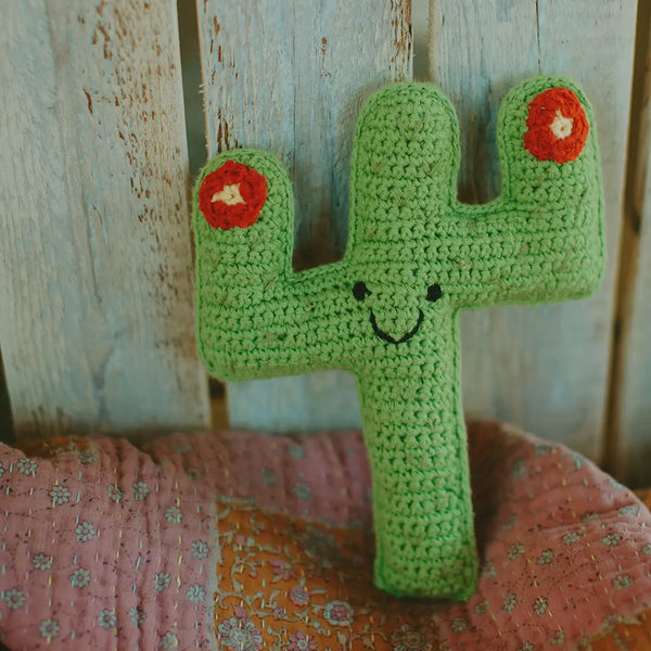Friendly Cactus Buddy