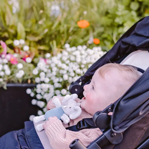 Tag Along Toy Tikiri