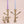 Jungle Friends Candle Holder Set Casa Amarosa