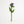 Felt Thistle Global Goods Partners Lavender