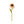 Felt Anemone Flower