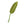 Felt Calathea Leaf Green Global Goods Partners Lime  