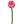 Felt Ranunculus Flower