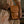 Boxy Crossbody Bag Camel Joyn   