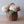 Felt Geranium Flower Light Blue Global Goods Partners   