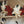 Poinsettia Garland Global Goods Partners