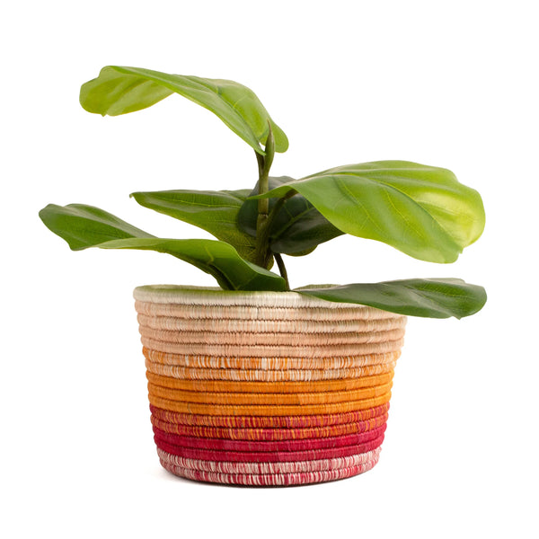 Spark Planter - 7" Kazi