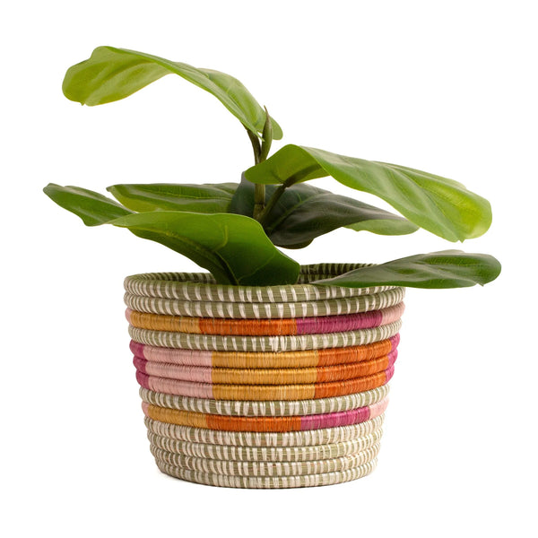 Bloom Planter - 7" kazi