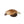 Tagua Turtle Ornament Ten Thousand Villages