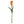 Felt Dutch Tulip Flower Global Goods Partners Apricot