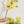 Felt Forsythia Flower  Global Goods Partners   