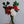 Felt Poinsettia Flower  Global Goods Partners   