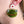 Frog And Flower Earring Jenny Lemons