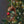 Foraging Squirrel Ornament