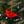 Glass Cardinal Ornament Ten Thousand Villages