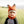 Kids Animal Hood Andes Gifts Fox