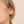 Little Dragon Earring Starfish Project