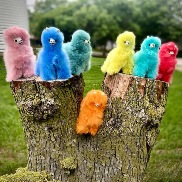 Mini Rainbow Stuffed Alpaca Blossom Inspired