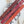 Holiday Incense Botanica Balsam Winterberry