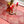 Rosette Table Runner Ichcha