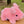 Piggy Alpaca Stuffed Toy