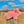 Piggy Alpaca Stuffed Toy