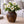 Sunk Wood Classic Vase
