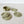 Sweetgrass Coaster Set Amasha