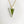 Triangle Fern Necklace Belart