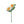 Felt Primrose Flower Global Goods Partners White
